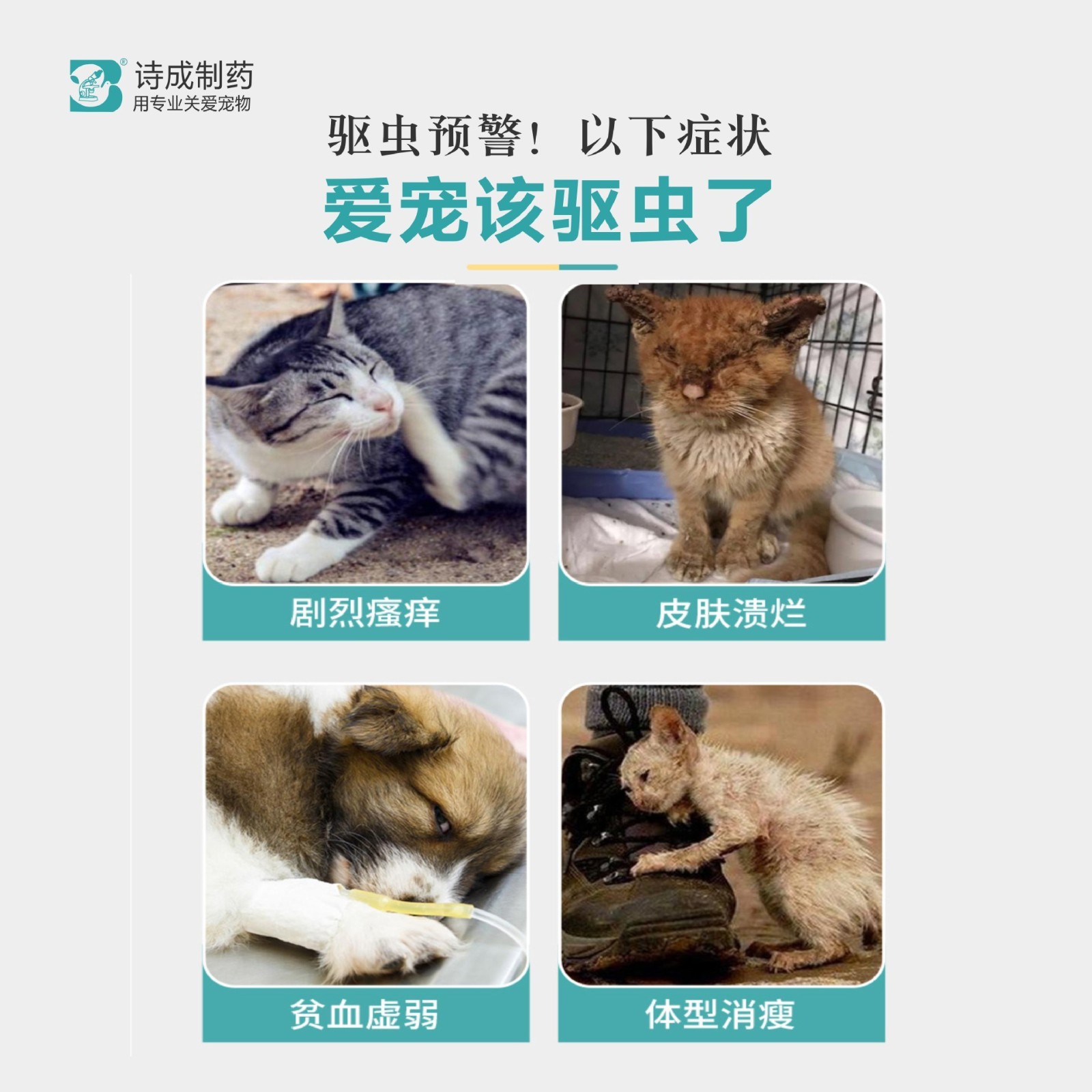 驱虫药阿维菌素透皮内外一体驱虫滴剂 定制贴牌代工图3