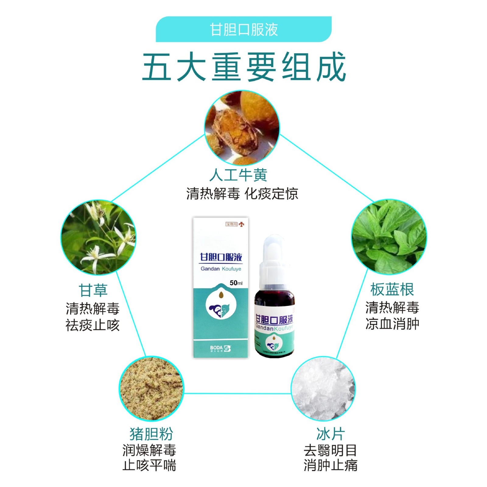 宠物甘胆口服液感冒咳嗽流鼻涕窝咳加工贴牌定制图2