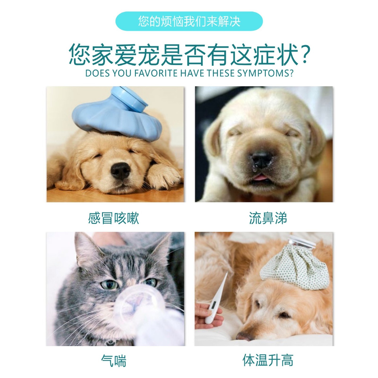 宠物甘胆口服液感冒咳嗽流鼻涕窝咳加工贴牌定制图3