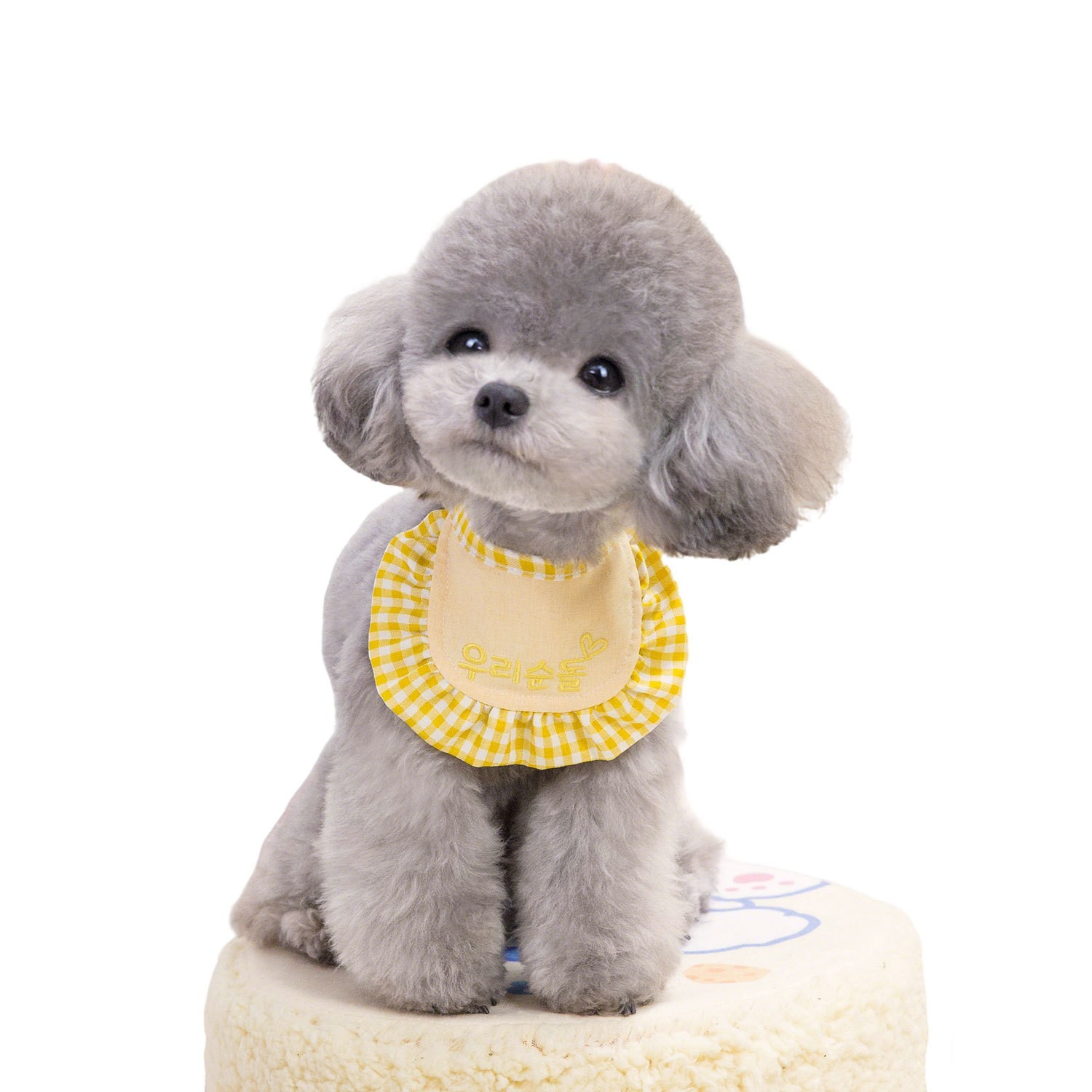 定制猫咪狗狗口水巾宠物围兜幼猫小狗可爱围脖小型犬装饰品配饰图5