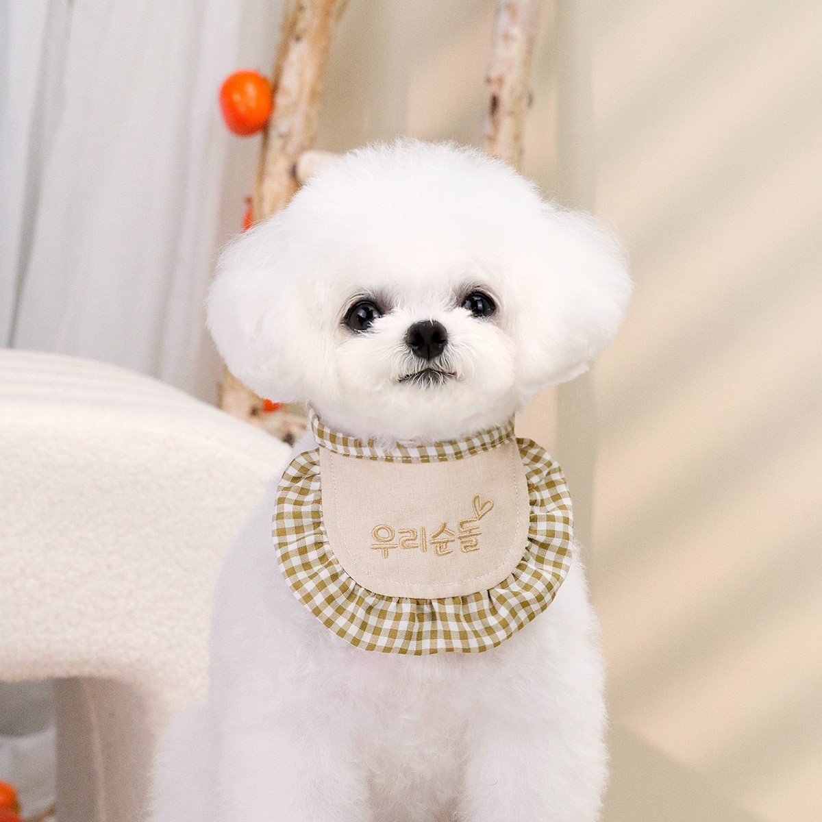 定制猫咪狗狗口水巾宠物围兜幼猫小狗可爱围脖小型犬装饰品配饰图4