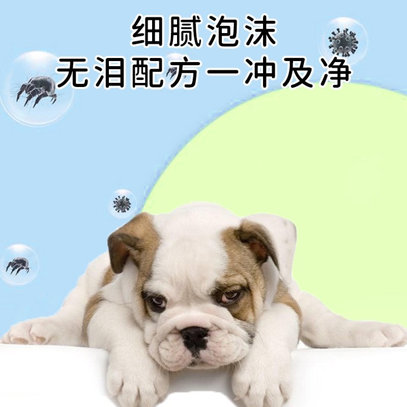 定制宠物沐浴露狗狗专用祛污美毛抑菌除螨持久留香温和不刺激图2