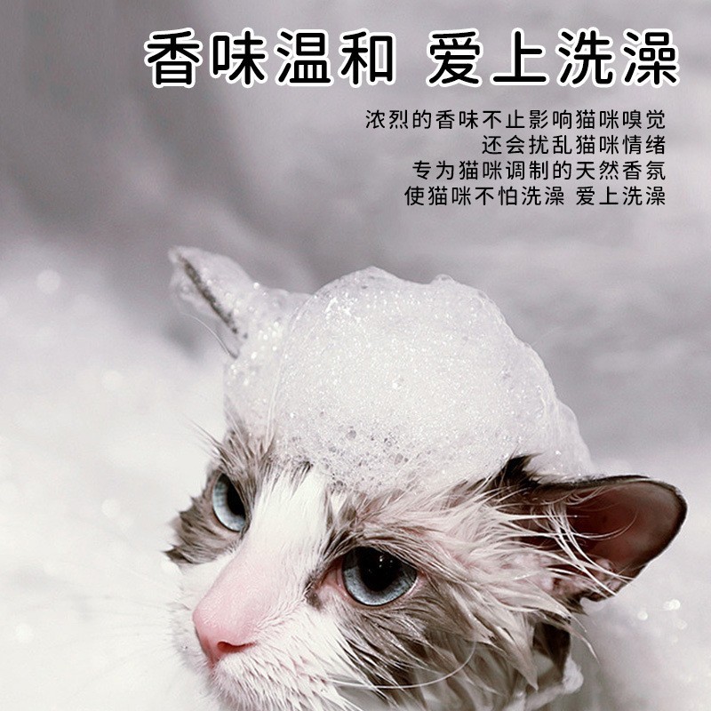 猫猫专用沐浴露抑菌除臭清洁祛污清爽留香可定制代工图2