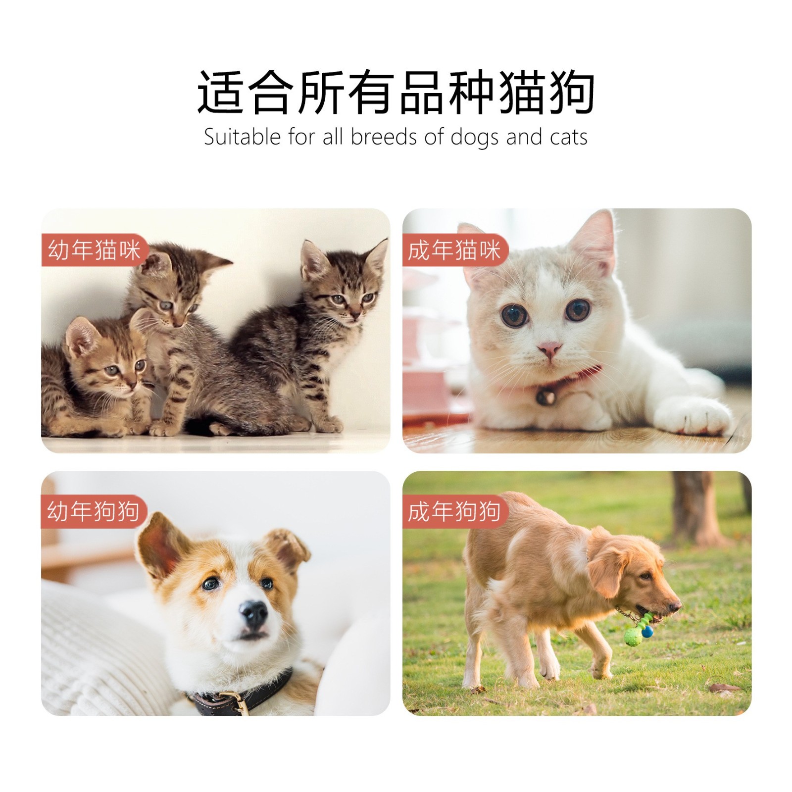 厂家定制贴牌500m猫狗宠物沐浴露去味清洁洗澡宠物香波沐浴露OEM图4