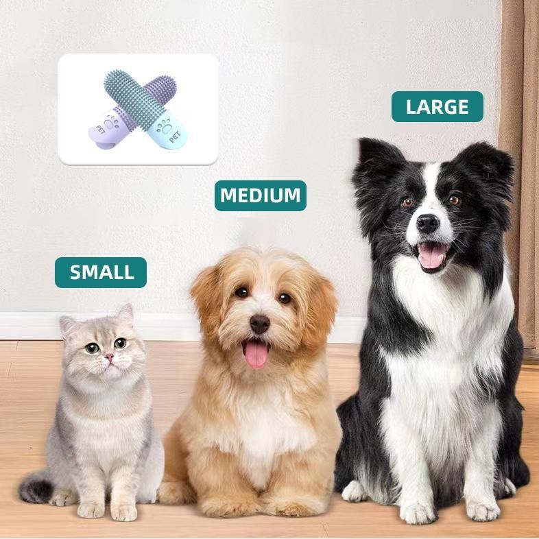 定制厂家360度柔软高品质硅胶手指刷牙刷宠物牙齿清洁图2