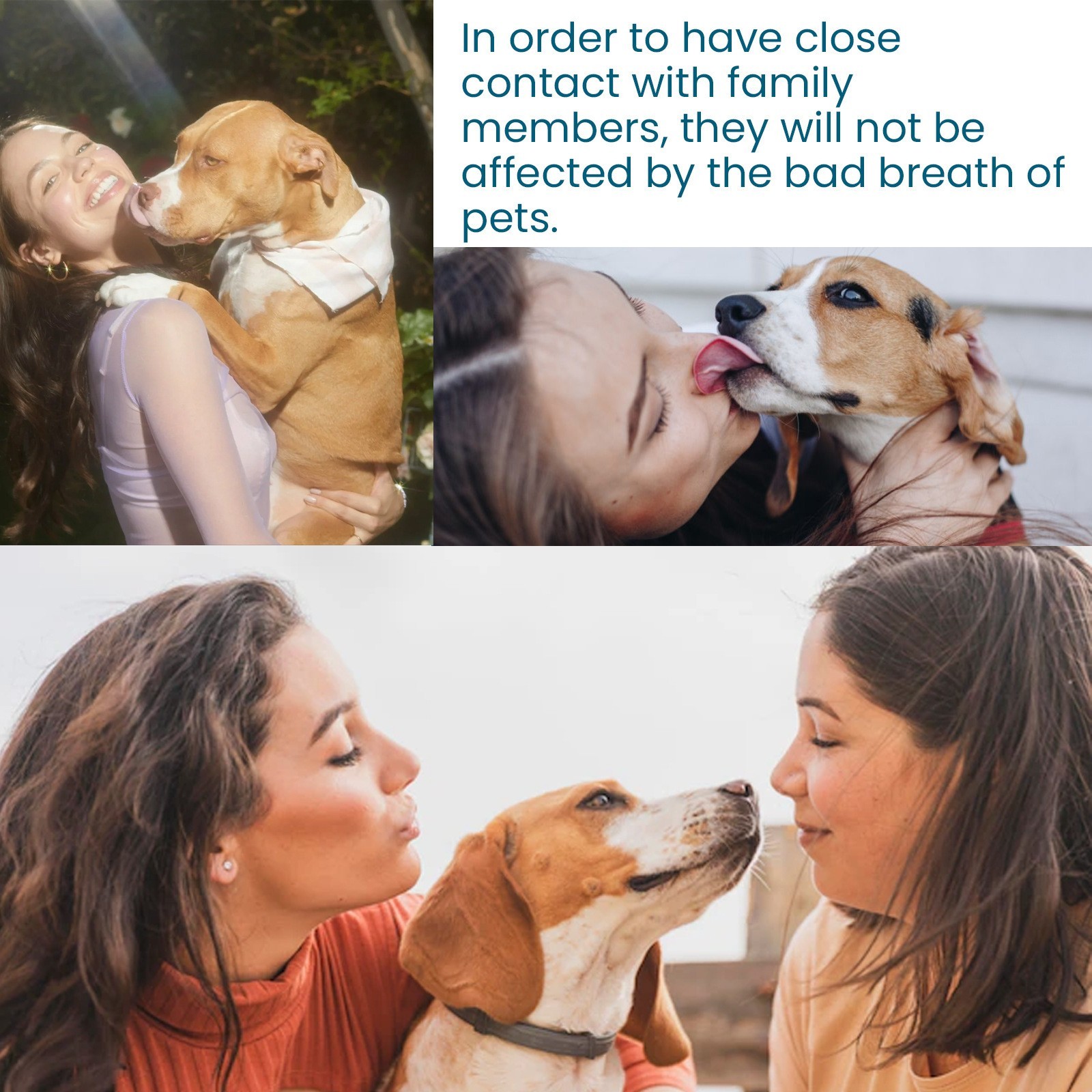 定制OEM 宠物洁牙喷雾 去口腔异味黄牙猫狗口腔清新清洁护理喷剂图2