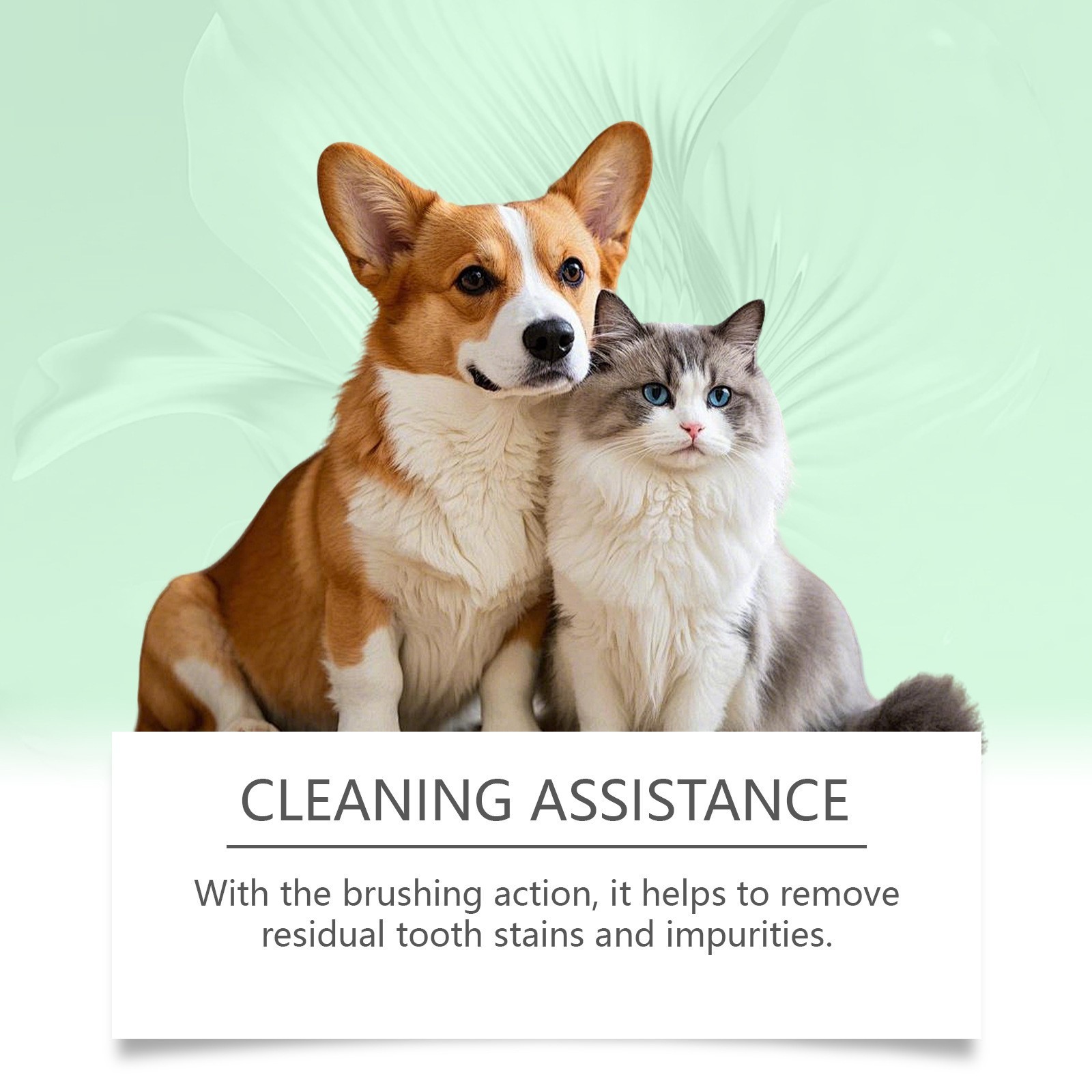 定制OEM 宠物牙齿清洁笔 温和配方 日常护理清洁宠物牙齿洁净清新图4