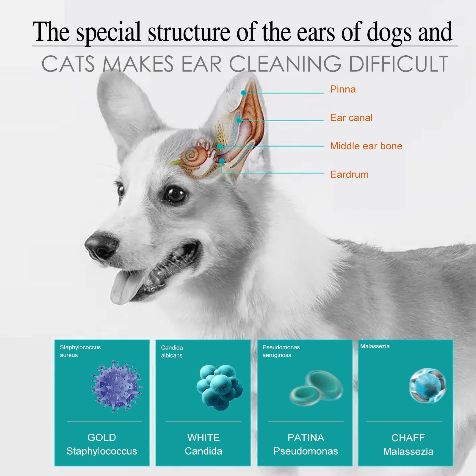 源头厂家定制 宠物滴耳液 猫狗通用净耳道耳螨除臭清洁洗耳液图2