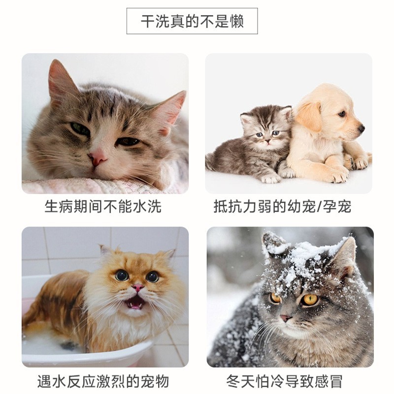 免水洗宠物干洗泡沫 加工定制 宠物免洗泡沫沐浴露香波干洗泡泡图3