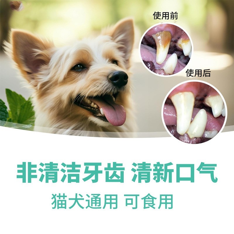 猫咪狗狗牙齿护理去口臭宠物专用口腔凝胶精华定制贴牌OEM图4