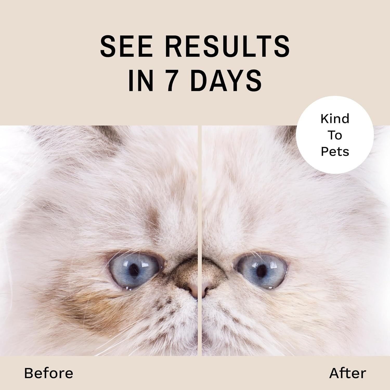 贴牌定制猫咪狗狗泪痕清洁护理液比熊去泪痕黄胡子除臭泪痕清洁图4