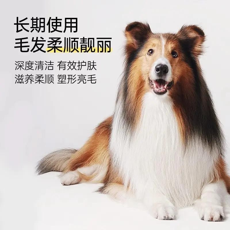 PH7N狗狗猫咪沐浴露除臭留香抑菌防护通用宠物洗澡香波图2