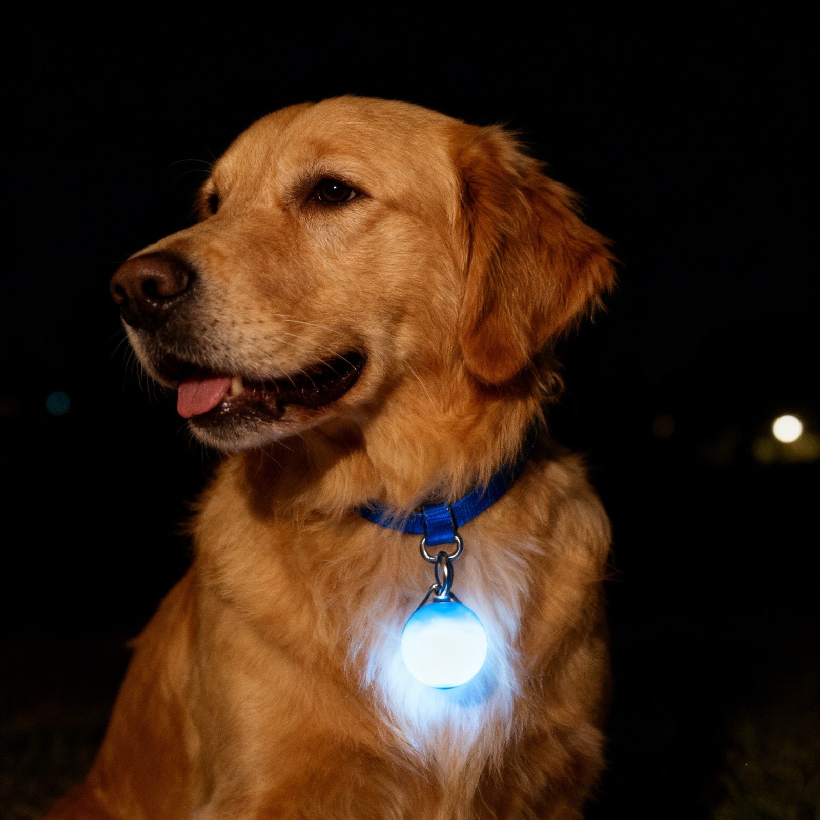 定制宠物发光吊坠夜间出行遛狗灯防走丢LED狗狗铭牌猫狗饰品狗牌图4