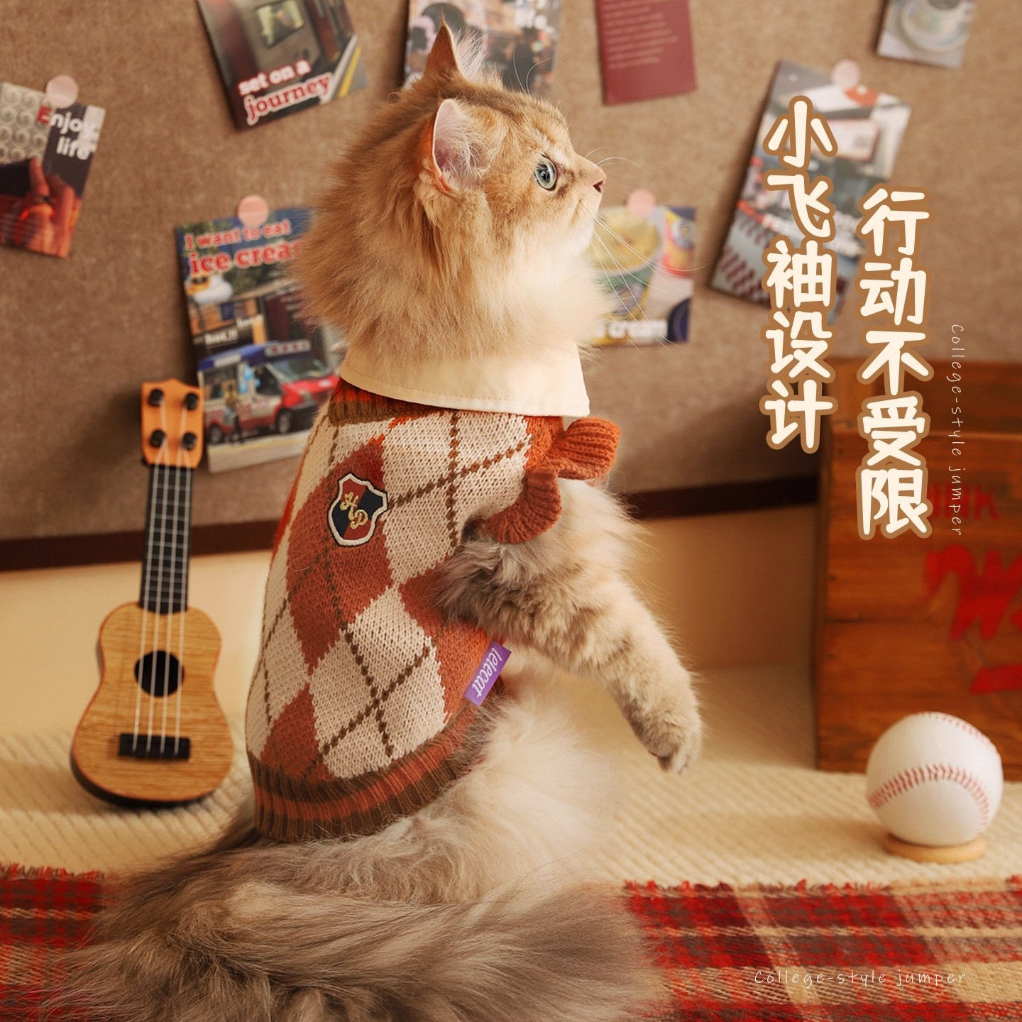 猫咪衣服秋冬防掉毛猫猫布偶宠物小猫菱格学院风毛衣狗狗保暖毛衣图3