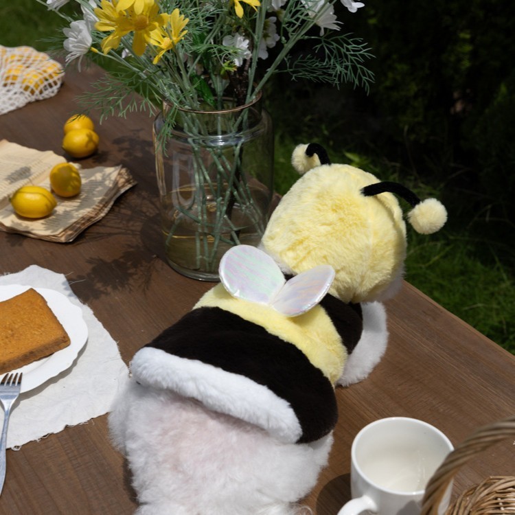 中小型可爱秋冬毛绒蜜蜂出片变身装猫狗服装服饰泰迪厂家图4