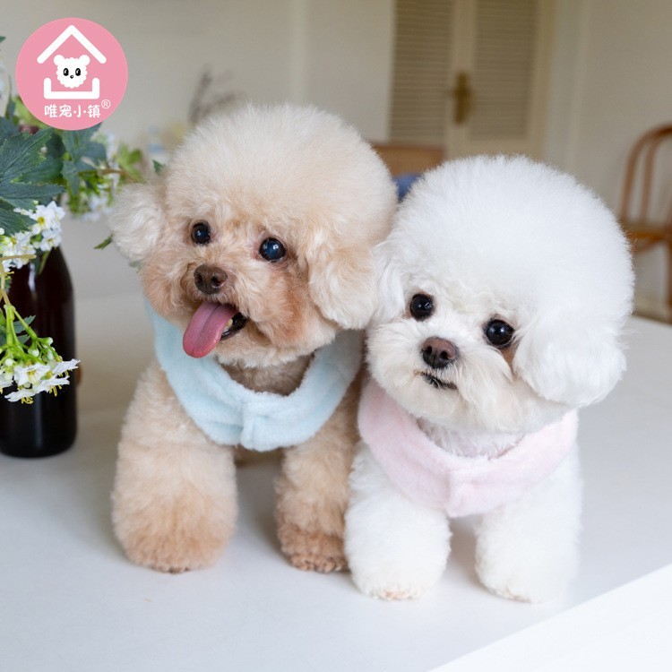 跨境外贸狗狗时尚万圣变装小狗中小型犬裙子秋冬保暖宠物服装图3