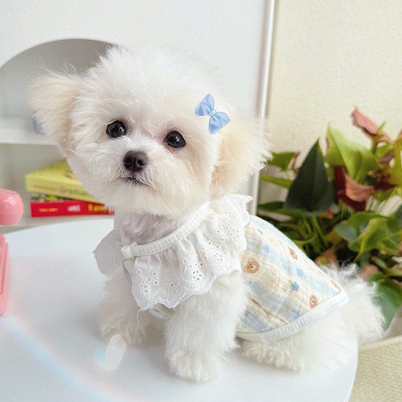 ins宠物可爱蕾丝花边背心马甲裙子狗狗衣服夏季清爽猫咪防毛服装图3