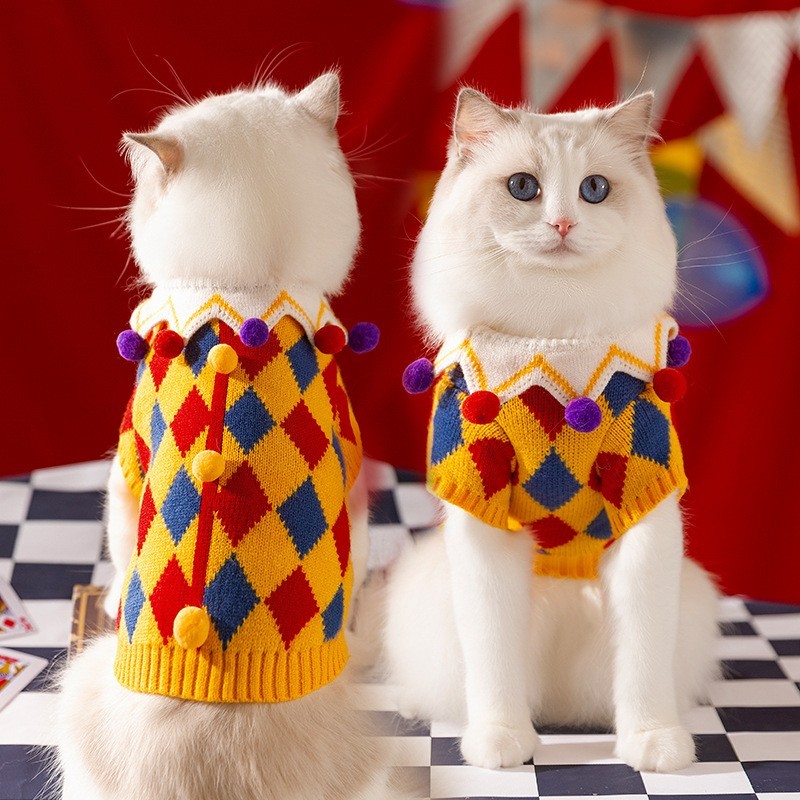 秋冬季保暖猫咪毛衣成猫幼猫针织毛线泰迪比熊小狗狗毛球宠物衣服图2