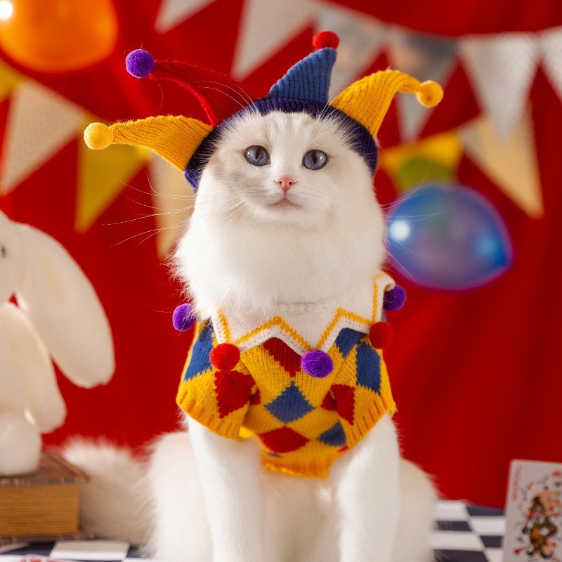 秋冬季保暖猫咪毛衣成猫幼猫针织毛线泰迪比熊小狗狗毛球宠物衣服图4