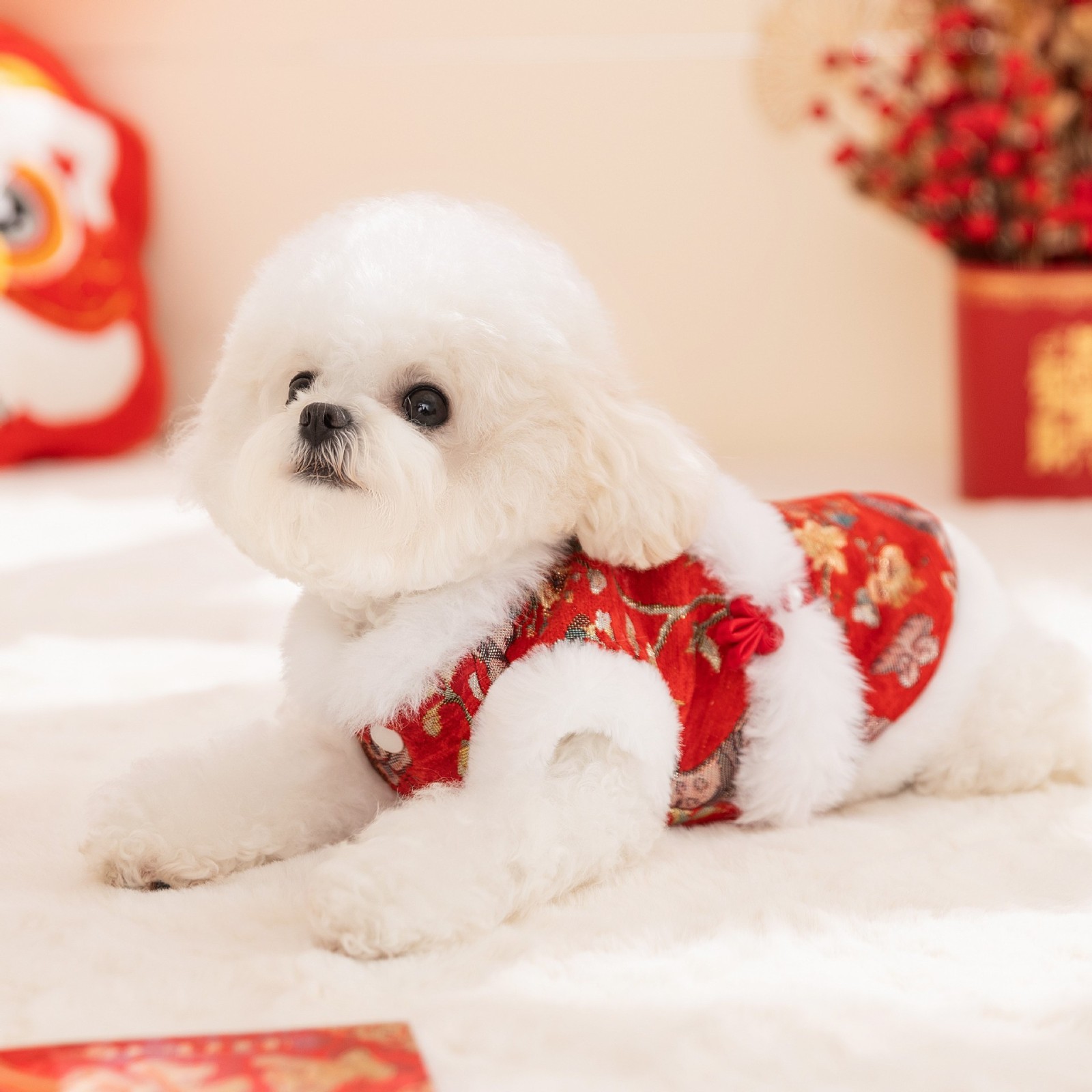 秋冬狗狗衣服新年喜庆保暖马甲棉衣小狗比熊泰迪宠物唐装猫咪衣服图2