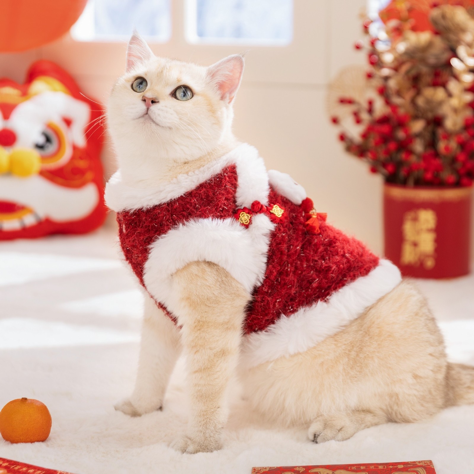 猫衣服新年唐装红色可爱醒狮发财绒衣两脚棉衣小狗狗衣服宠物衣服图3