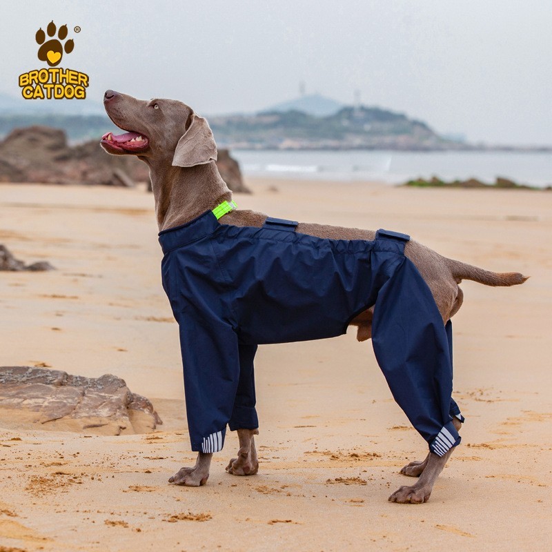 定制狗狗雨衣 防水舒适面料夜间反光四脚衣服宠物用品防水雨披图2