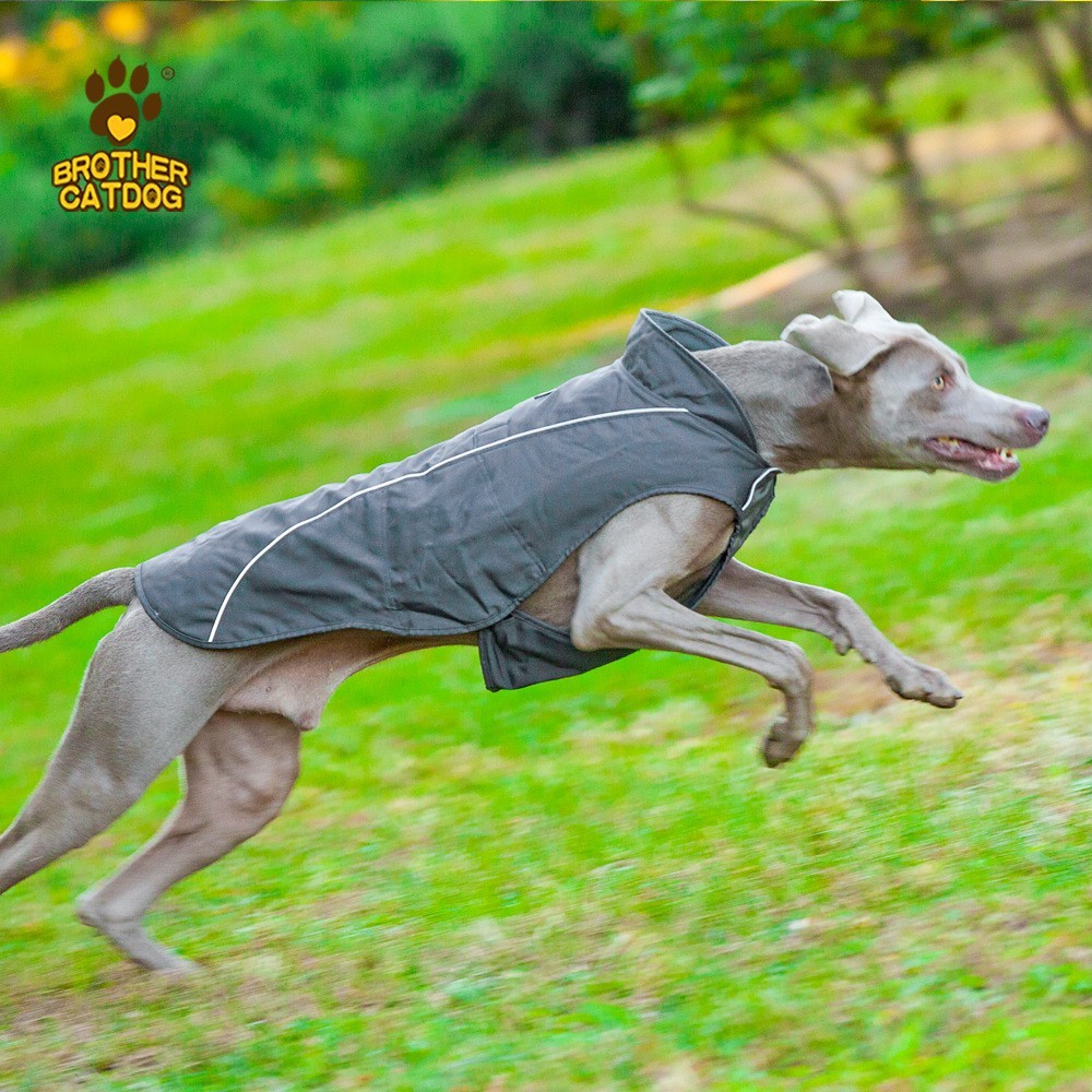 可定制秋冬宠物服狗狗披风定做 防水反光大狗冲锋衣马甲狗外套图2