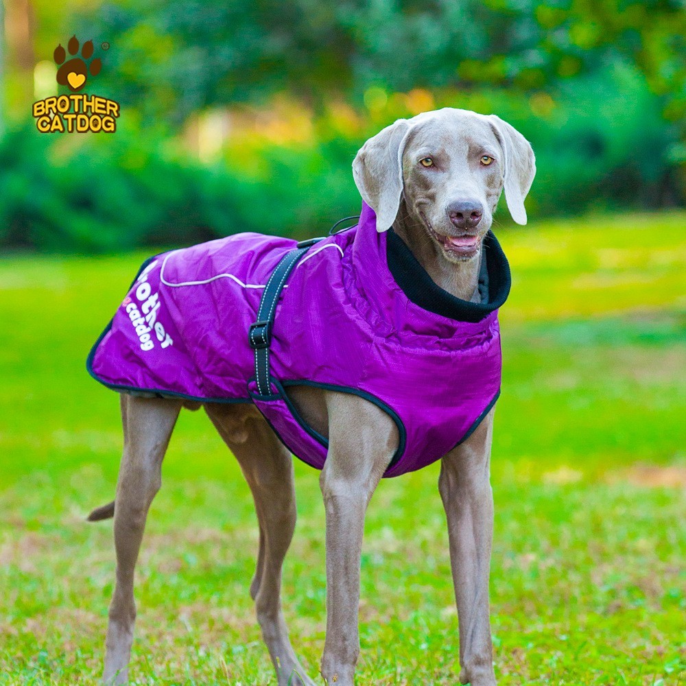 定制宠物衣服logo纯色狗狗披风涤纶防泼水冲锋衣宠物保暖狗外套图2