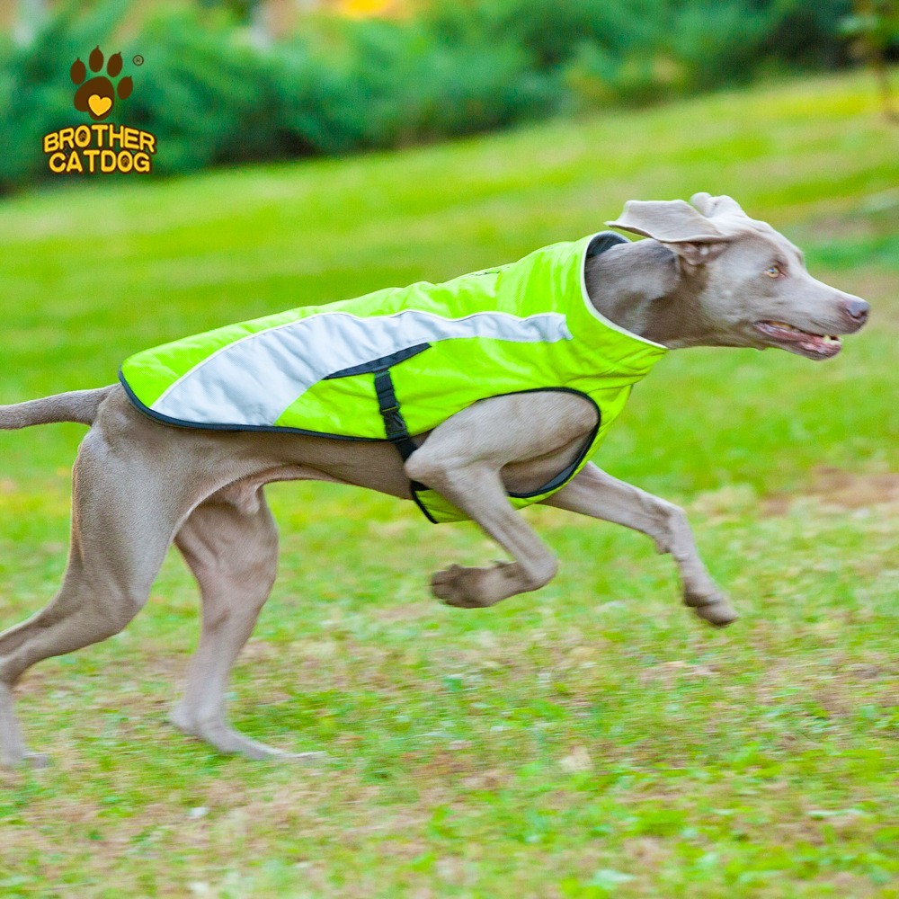 狗狗冲锋衣可定制 运动风格冬季户外狗衣服秋冬加厚保暖背心定做图3