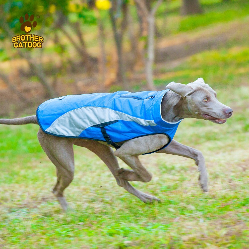 狗狗冲锋衣可定制 运动风格冬季户外狗衣服秋冬加厚保暖背心定做图2