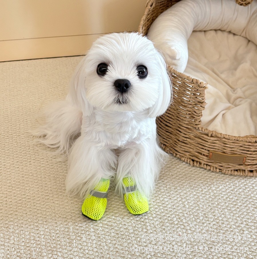 跨境宠物网格透气反光狗狗鞋子防滑耐磨鞋底比熊柯基中小犬网鞋图4