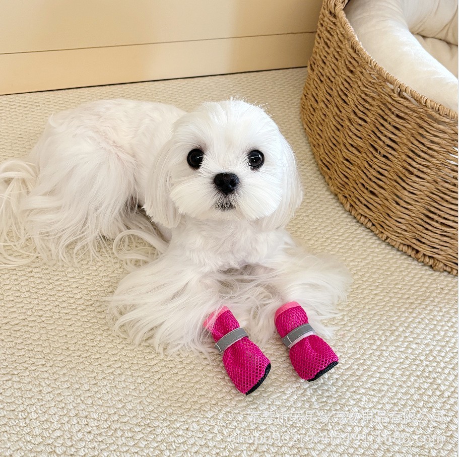 跨境宠物网格透气反光狗狗鞋子防滑耐磨鞋底比熊柯基中小犬网鞋图3