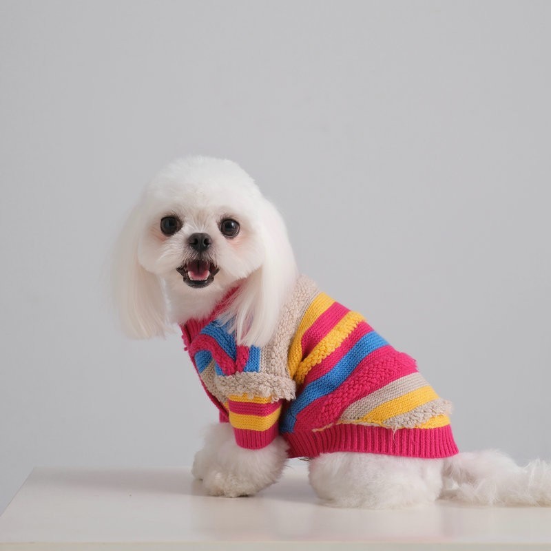 宠物亲子款成人款宠物衣服亲子装可爱风宠物狗狗T恤亲子装成人款图3