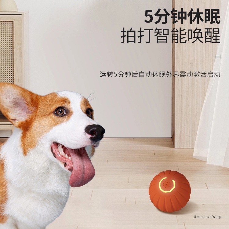 引力跳跳球狗狗玩具耐咬球自动逗狗神器自嗨解闷宠物电动小狗玩具图4