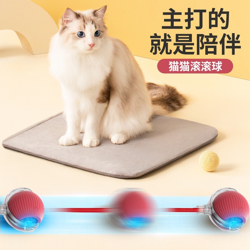 跨境新款猫咪玩具引力智能红绳滚滚球鸟叫声电动逗猫球磨牙耐咬图2