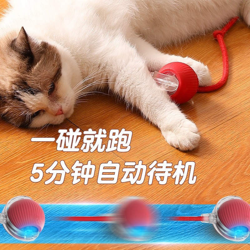 跨境新款猫咪玩具引力智能红绳滚滚球鸟叫声电动逗猫球磨牙耐咬图3