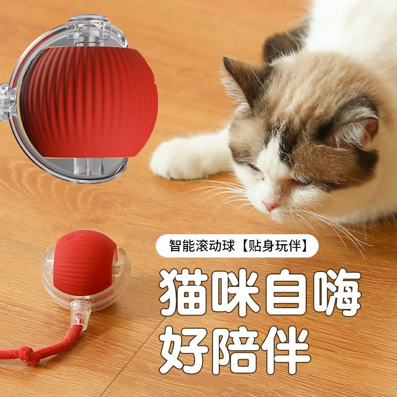 跨境新款猫咪玩具引力智能红绳滚滚球鸟叫声电动逗猫球磨牙耐咬图4