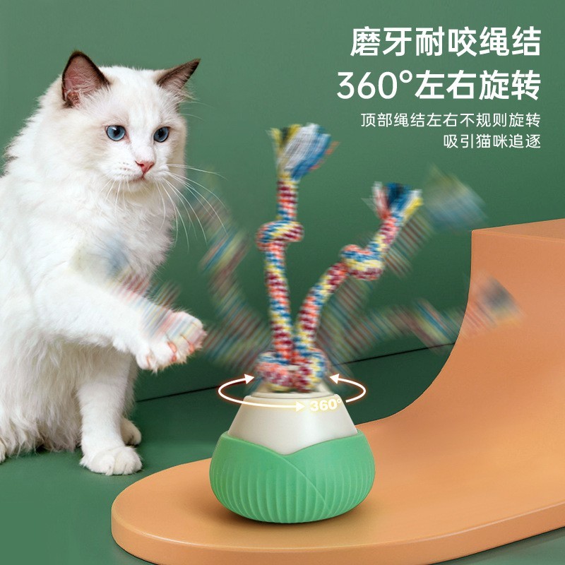 宠物智能猫玩具自动旋转逗猫球套装猫自嗨解闷玩具绳结滚滚球新款图4