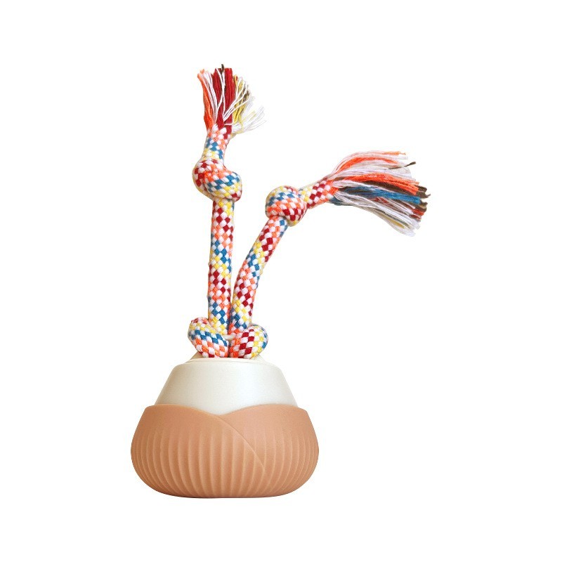 宠物智能猫玩具自动旋转逗猫球套装猫自嗨解闷玩具绳结滚滚球新款图5