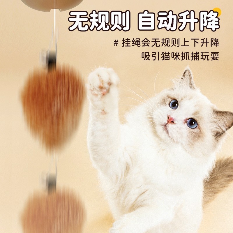 宠物智能玩具水豚升降逗猫球猫咪自嗨解闷自动感应猫玩具2026新款图3