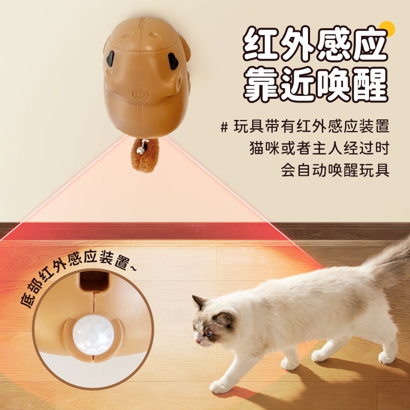 宠物智能玩具水豚升降逗猫球猫咪自嗨解闷自动感应猫玩具2026新款图4