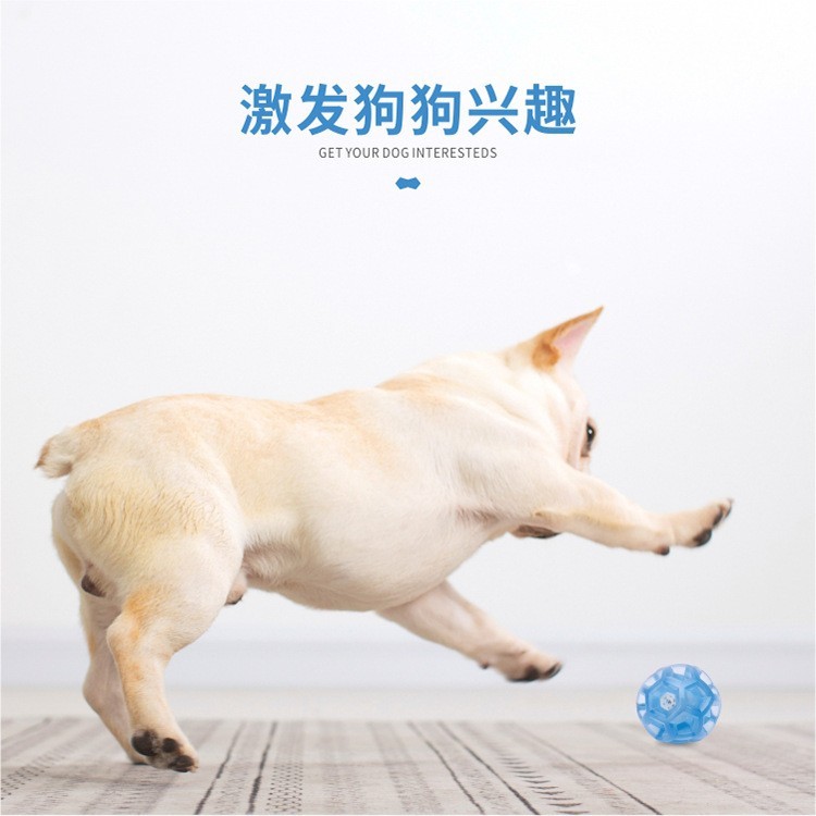 宠物玩具球 TPR滚动发声怪叫球弹力球啃咬互动耐咬狗狗玩具磨牙图4