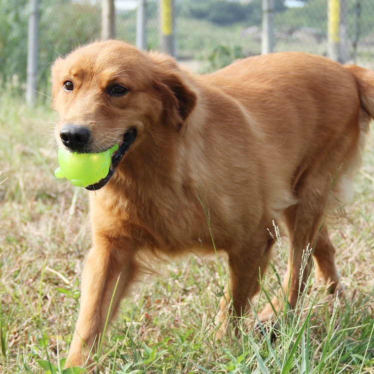 狗玩具耐咬TPR动物多款造型小狗用品发声浮水中大型磨牙宠物玩具图5