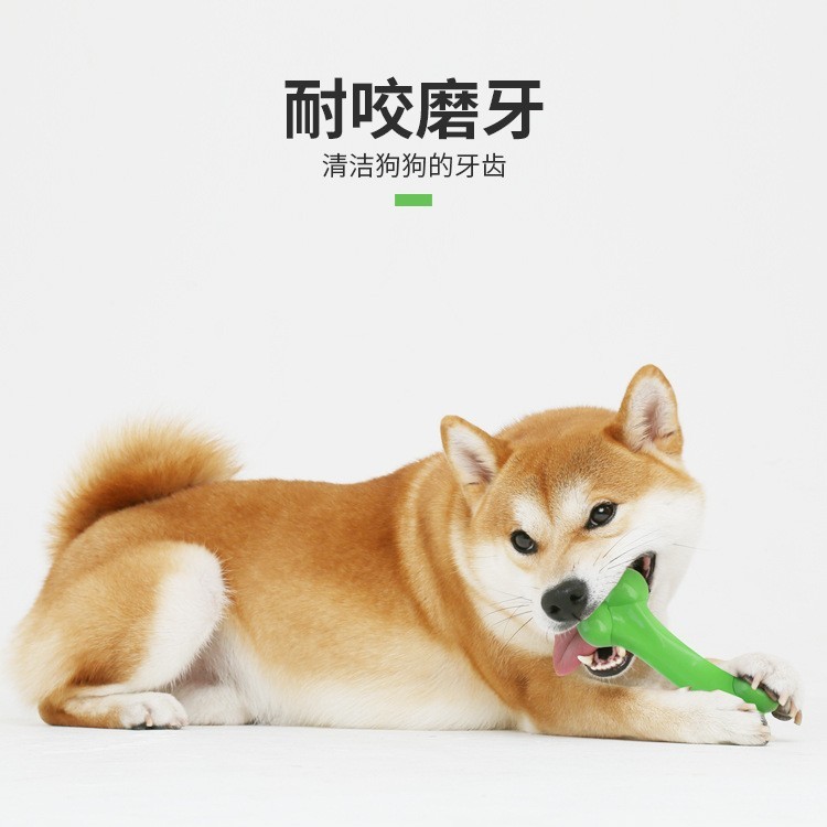 宠物玩具跨境 橡胶实心香草味骨头金毛德牧中大型犬磨牙狗玩 耐咬图2