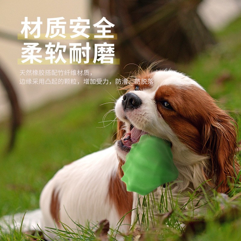 亚马逊狗狗玩具球实心贝壳磨牙自嗨益智解闷宠物玩具跨境专供