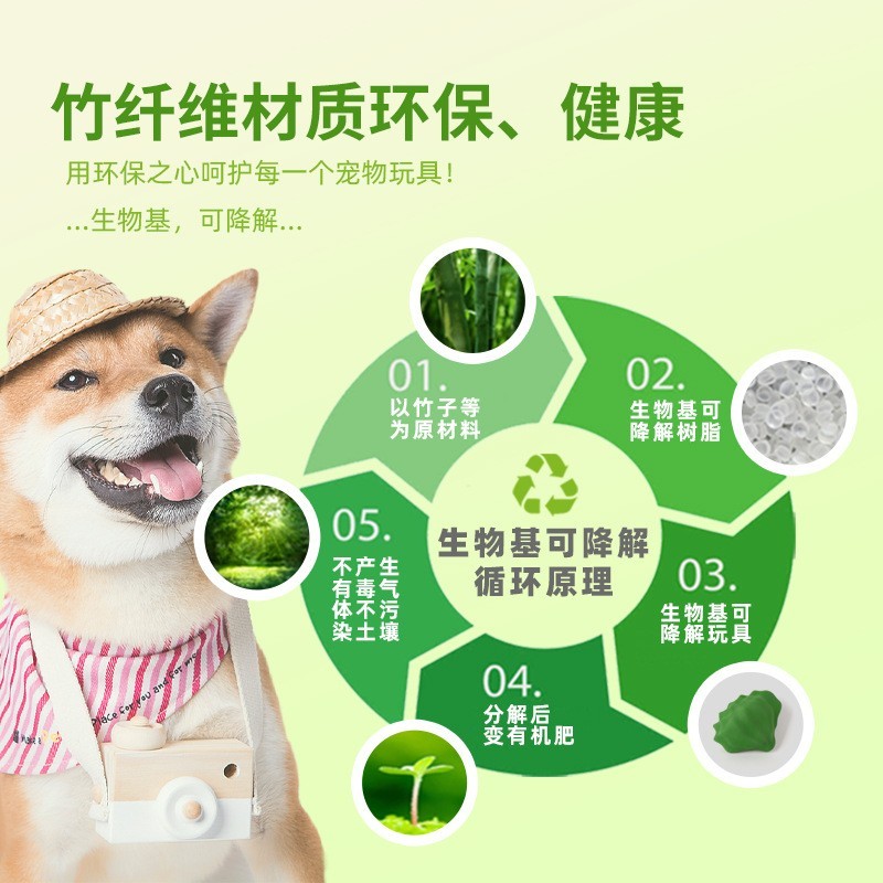 亚马逊狗狗玩具球实心贝壳磨牙自嗨益智解闷宠物玩具跨境专供图4