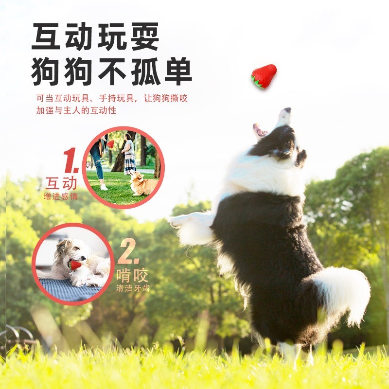 厂家定制生物基天然橡胶水果系列草莓宠物玩具漏食狗玩具洁齿图3