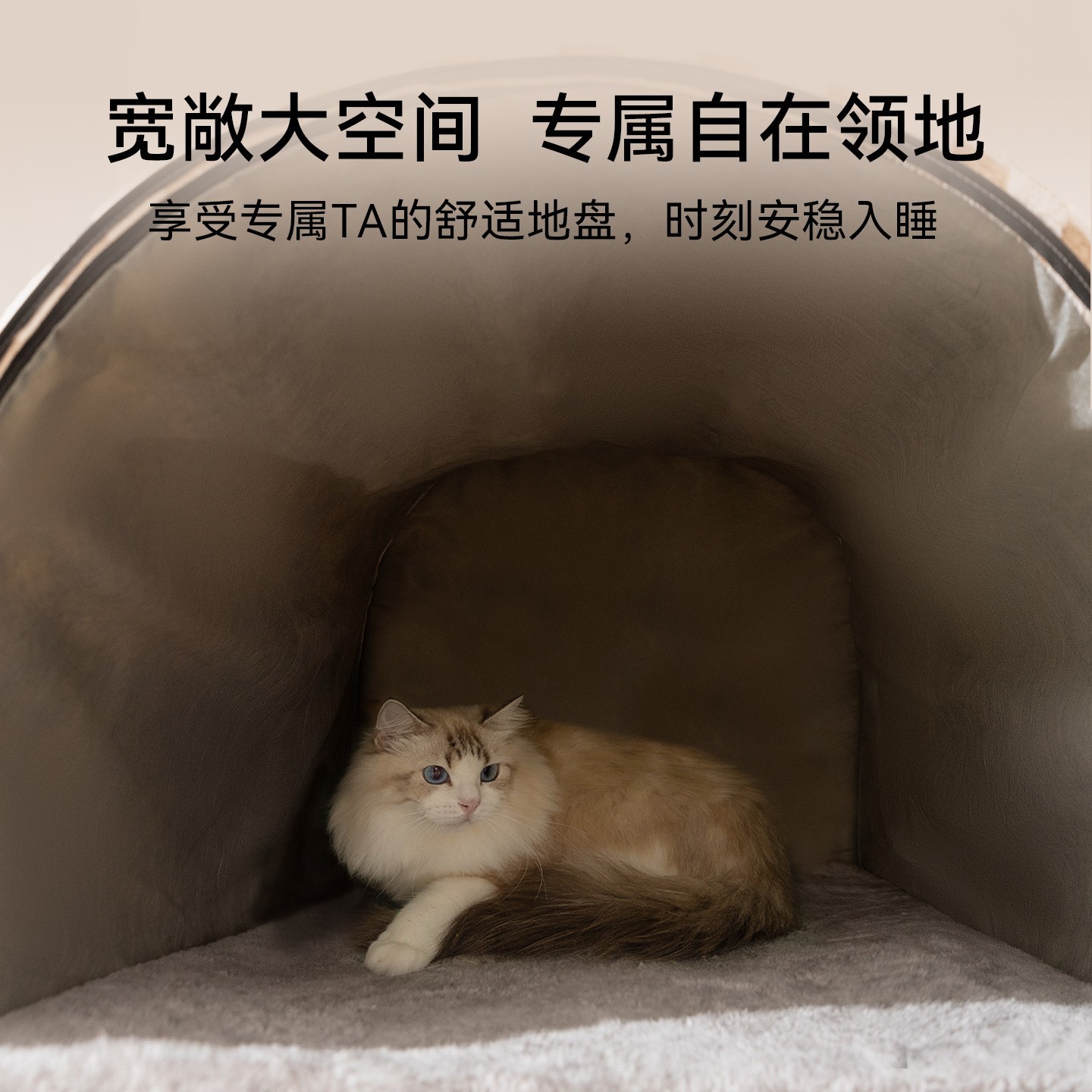 跨境亚马逊新款宠物窝秋冬加厚弧形房子窝大空间猫窝可拆卸狗窝床图4