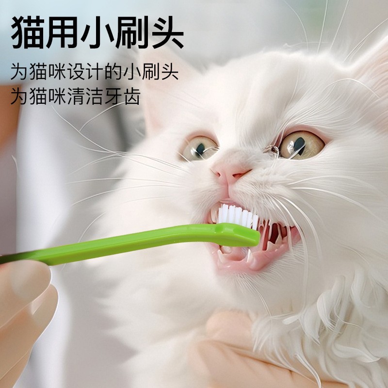 宠物用品 宠物牙刷单头牙刷 狗牙刷 猫牙刷 宠物口腔清洁用品图4