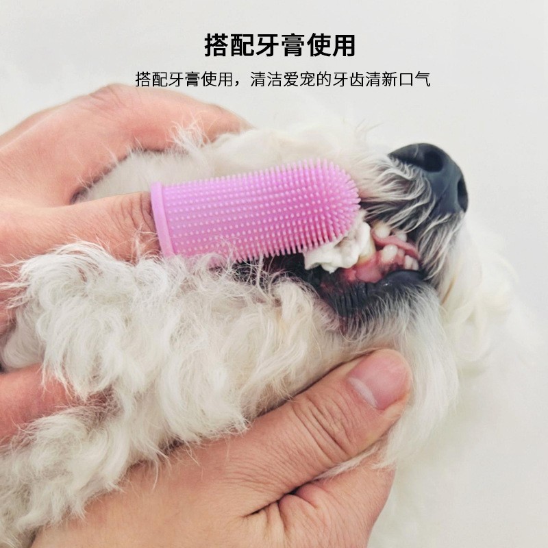 宠物用品 宠物牙刷 狗狗猫猫牙刷 宠物口腔清洁手指牙刷图4
